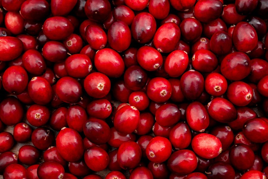 Skin Benefits of Cranberry Seed Oil: The Ultimate Superfood for Your Skin - Organic Bath Co.